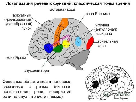 Ухудшение работы речевых центров мозга