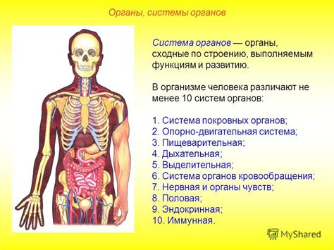 Ухудшение функции органов и систем