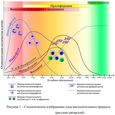 Участие воспалительного процесса