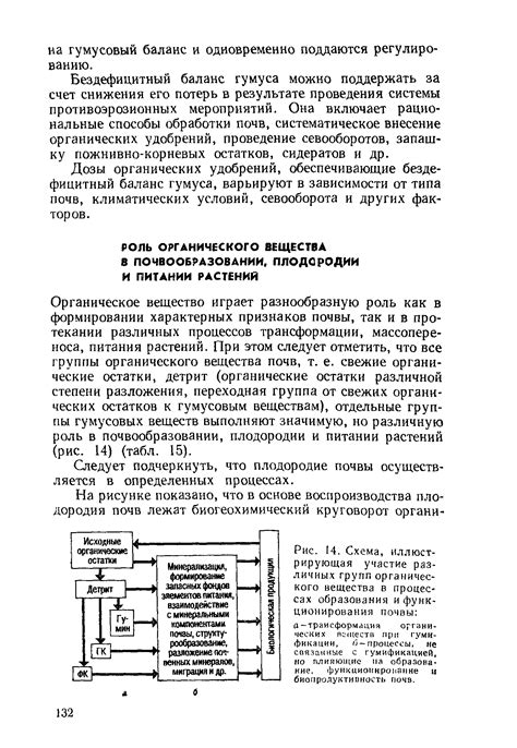 Участие в рециклинге органического вещества