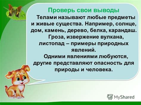 Ученые высказывают свои предположения