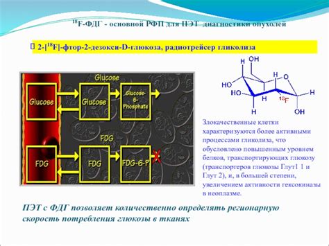 ФДГ - глюкоза для диагностики