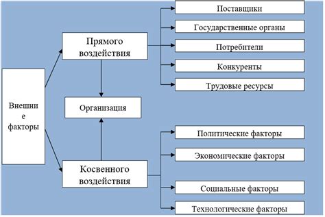 Факторы, влияющие на внешнюю среду организма