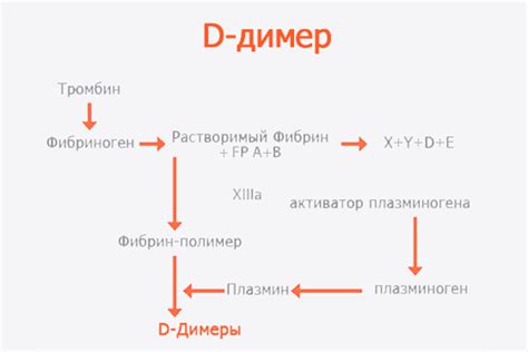 Факторы, влияющие на уровень Д-димера