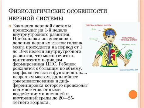 Физиологические особенности человека