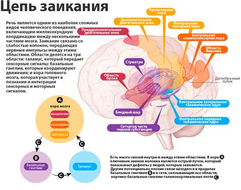 Физиологические причины заикания