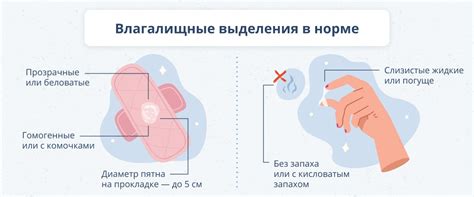 Физиологические причины крови из влагалища