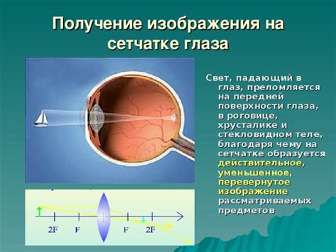 Физические основы слуха