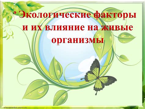 Физические причины и экологические факторы, ведущие к глубокому вдоху у детей