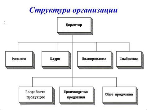 Филиалы и структурные подразделения: их различия и выбор