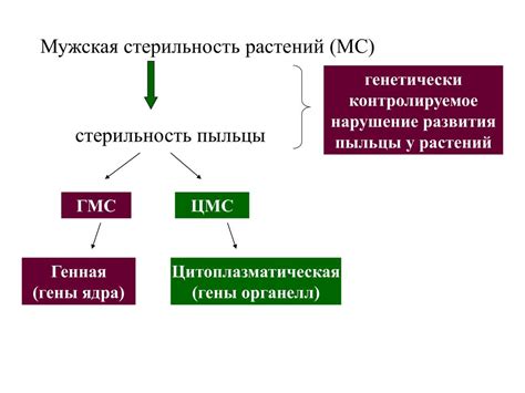 Флавопротеины и их связь с митохондриями