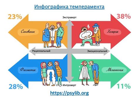 Флегматик, сангвиник, меланхолик и холерик: в чем разница?