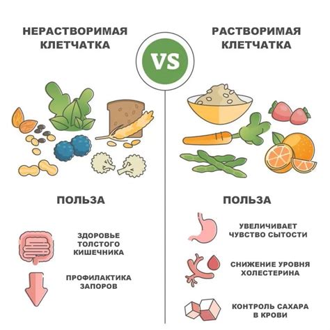 Фрукты: витамины и клетчатка для снижения желания сладкого