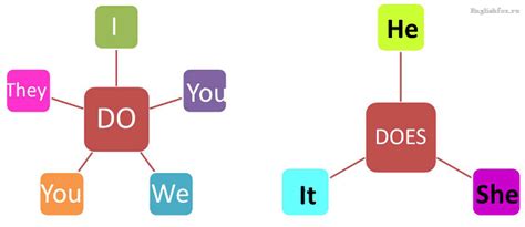 Функции "do" и "does" в английском языке