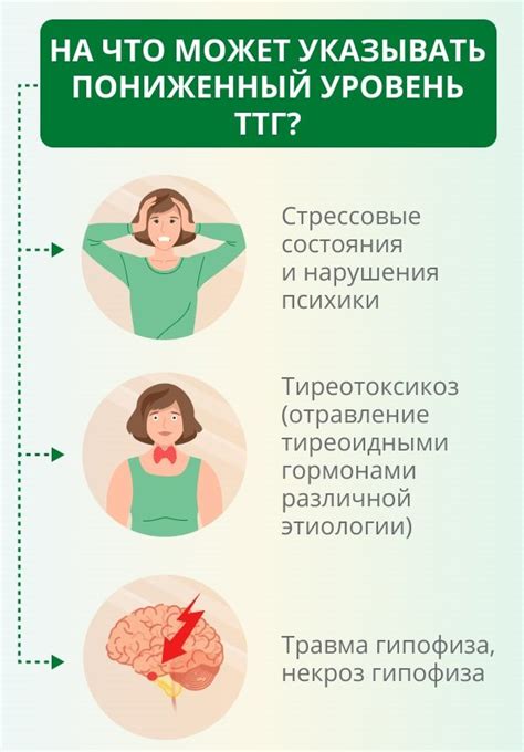 Функции и роль тиреотропного гормона в организме женщин