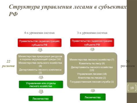 Функции лесничеств