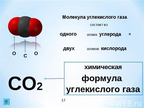 Функции углекислого газа