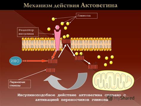 Функциональность и механизм действия