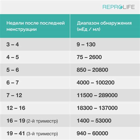 ХГЧ 40: определение и характеристика у женщин