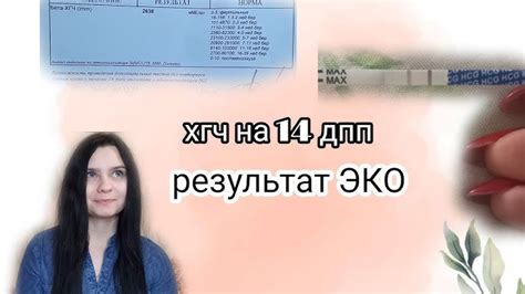 ХГЧ 40 – что это такое и какой смысл имеет?