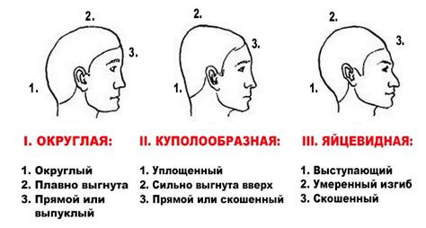 Характеристики головы