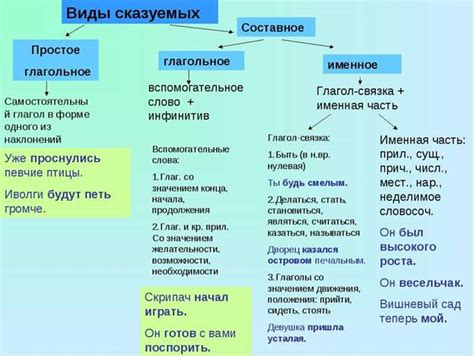 Характеристики и примеры имперфективного вида сказуемого