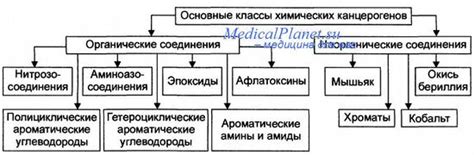 Химические канцерогены