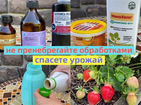 Химические средства защиты клубники от болезней