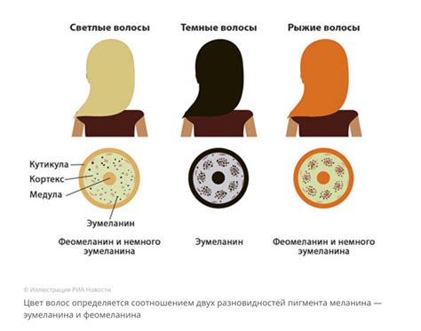 Химический процесс при сжигании волос