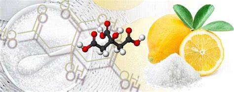 Химический состав и действие лимонной кислоты на организм
