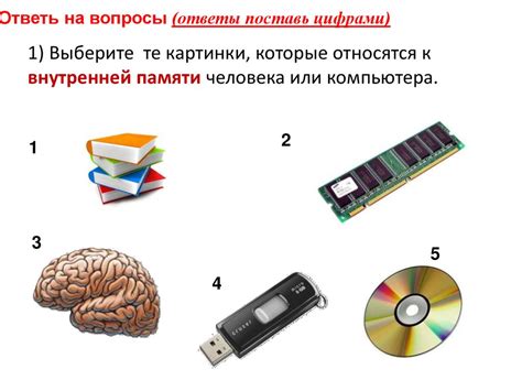 Хранение и поиск информации