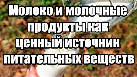 Целлюлоза как источник питательных веществ