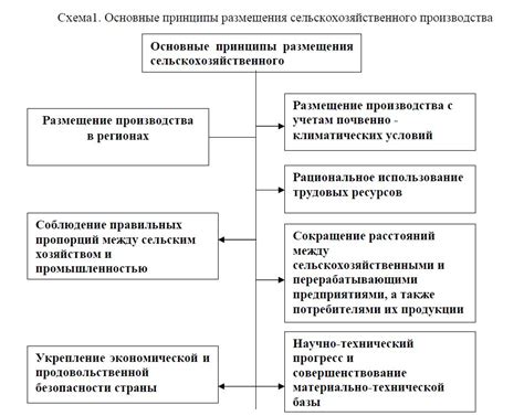 Цель и принципы аукциона размещения