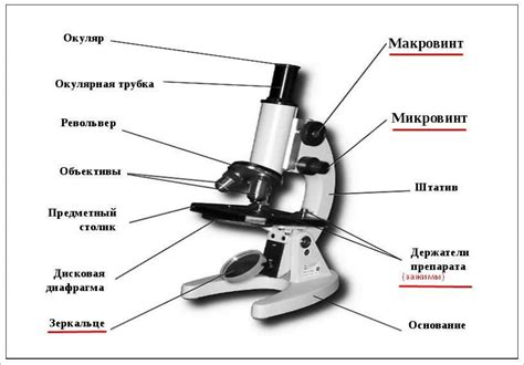 Цель предметного столика в микроскопе