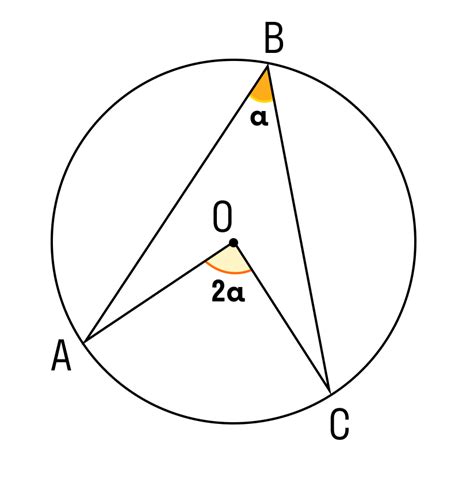 Центральный угол окружности: определение и свойства