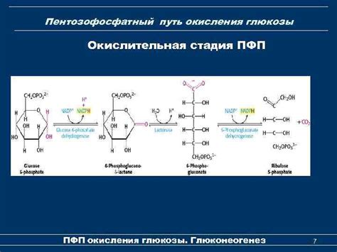 Частичная окислительная деградация глюкозы: общие сведения