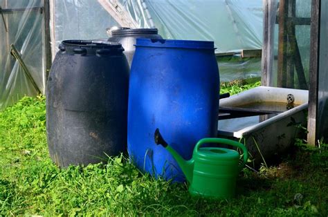 Чем предотвратить гниение бутыли для воды от цветения