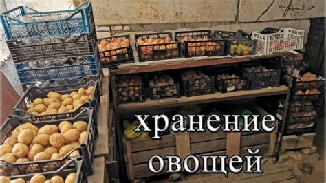 Черви на зиму: собирание и хранение