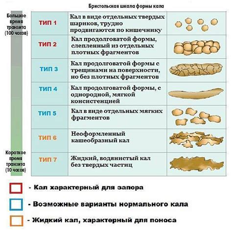 Черный жидкий стул у собаки