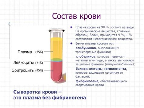 Что включено в плазму крови