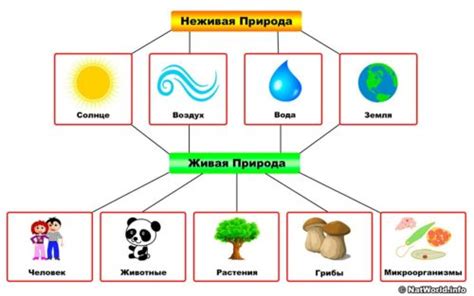 Что делает окружающий мир домом для человека?