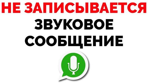 Что делать, если Ватсап не записывает аудио сообщения?