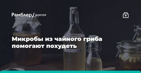 Что делать, если все методы не помогают восстановить газировку чайного гриба?