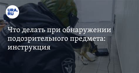 Что делать при обнаружении подклада в доме