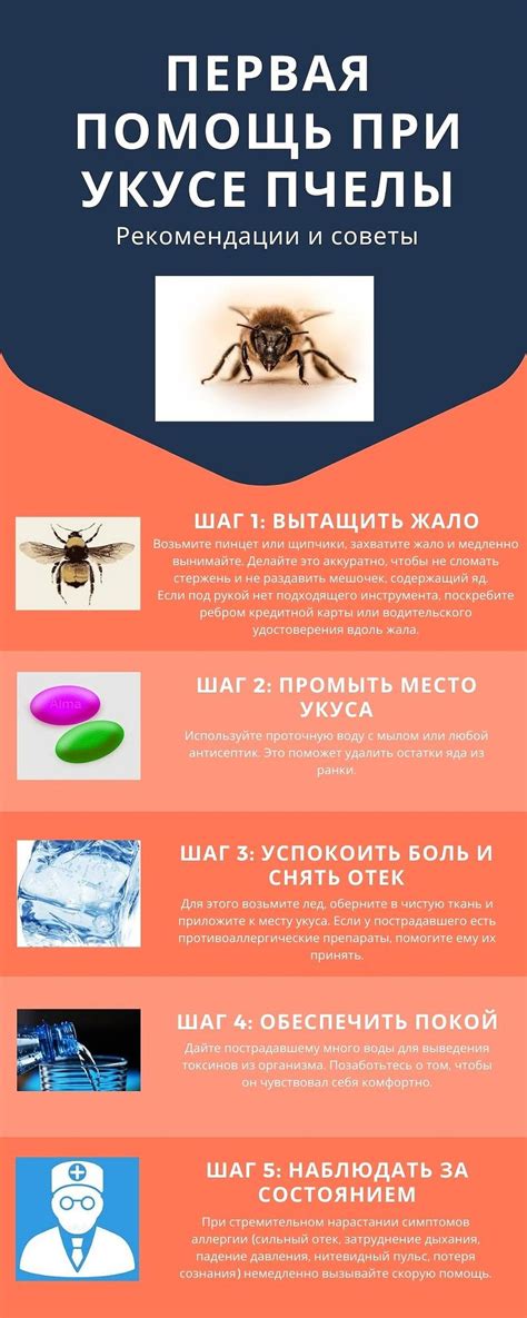 Что делать при укусе осой: 8 эффективных советов