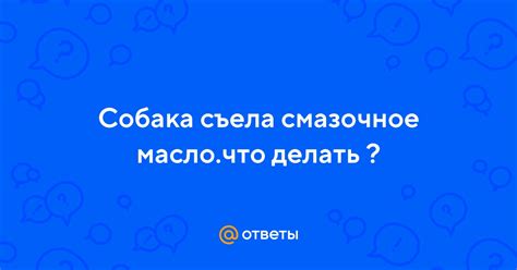 Что делать сразу после того, как собака съела растительное масло?