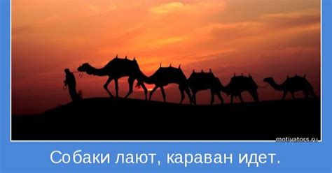 Что значит "собака лает, караван идет"?