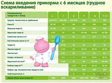 Что подходит для кормления ребенка с 6 месяцев