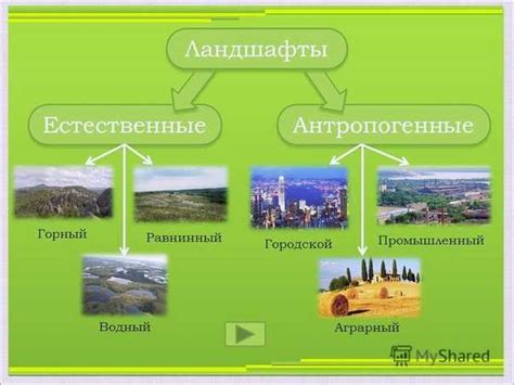 Что представляет собой естественный ландшафт?