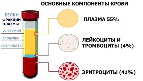 Что представляет собой кровь и зачем она нужна?